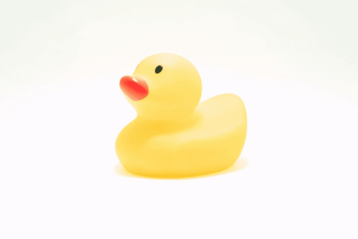 A yellow rubber duck on a white background